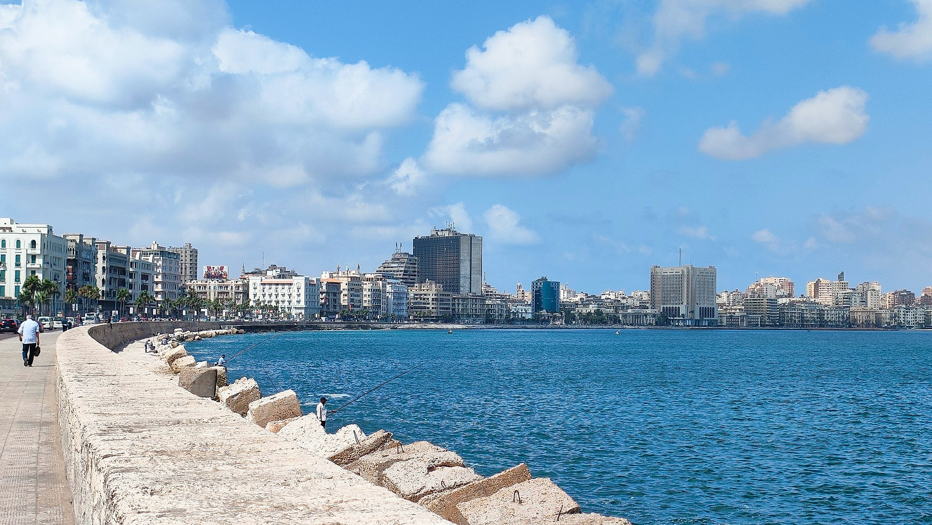 الإسكندرية city view