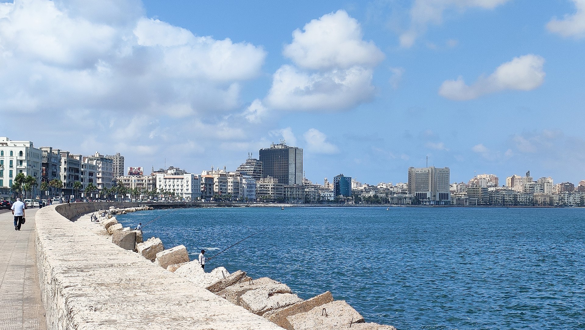 الإسكندرية city view